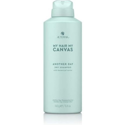 My Hair My Canvas Another Day Dry Shampoo 142g