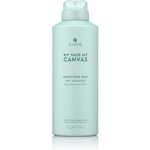 My Hair My Canvas Another Day Dry Shampoo 142g