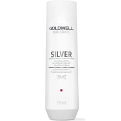 Goldwell Dualsenses Silver Shampoo 250 Ml For Blonde And Gray Hair