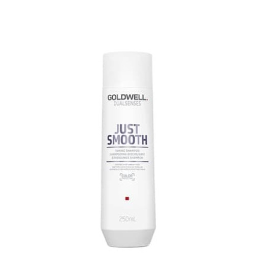 Goldwell Dualsenses Just Smooth Shampoo 250ml