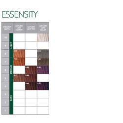 Schwarzkopf Essensity 6-99 Extra Dark Violet Blonde Permanent Hair Color 60ml Schwarzkopf Essensity 6-99 Extra Dark Violet Blonde Permanent Hair Color 60ml