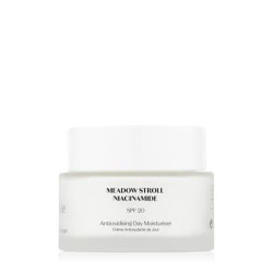 Flnerie Antioxidising Day Moisturiser Spf 20 45ml