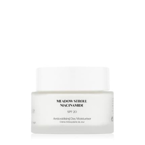 Flnerie Antioxidising Day Moisturiser Spf 20 45ml