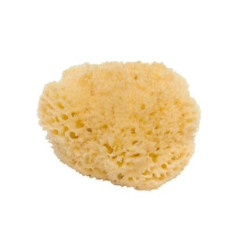 Shasa Natural Sponge Archipelago No 12 Shasa Natural Sponge Archipelago No 12