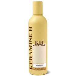 Keramine-H Sh Informator 300ml Keramine-H Sh Informator 300ml