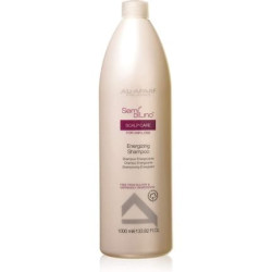 AlfaParf Milano Semi Dí Lino Scalp Care Energising Shampoo 1000ml AlfaParf Milano Semi Dí Lino Scalp Care Energising Shampoo 1000ml
