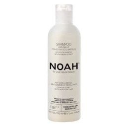Anti-Yellow Shampoo with Blueberry Extract for Blonde Hair