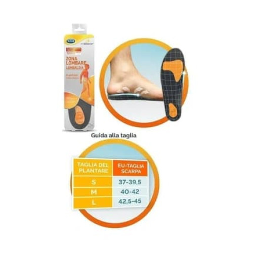 Scholl's Wellness Company Srl Scholl Lumbar Insole M 2 Pieces