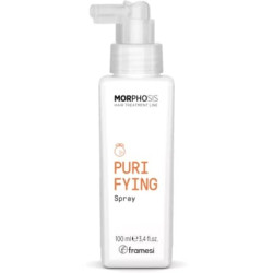 Morphosis Purifying Spray 100ml Morphosis Purifying Spray 100ml