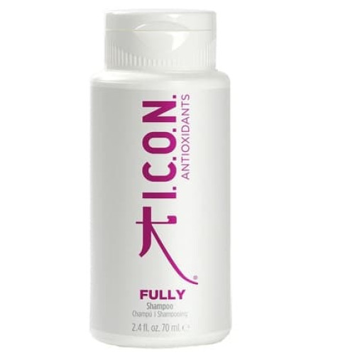 Icon Fully 70 Ml Hair Styling Product
