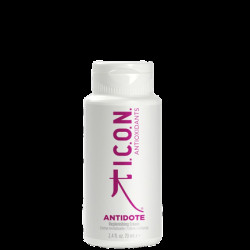 Icon Antidote 70 Ml Hair Treatment