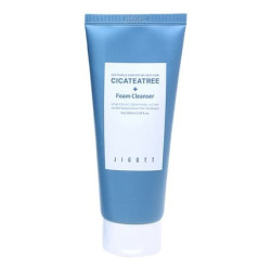 JIGOTT Cicateatree Foam Cleanser 180 ml JIGOTT Cicateatree Foam Cleanser 180 ml