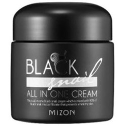 Mizon Black Snail All In One Cream 35ml