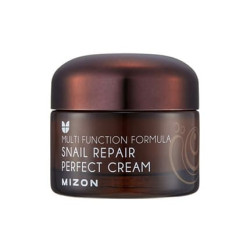 Mizon Snail Repair Perfect Cream 50 Ml Face Cream With 60 Snail Secretion Filtrate For Problematic Skin